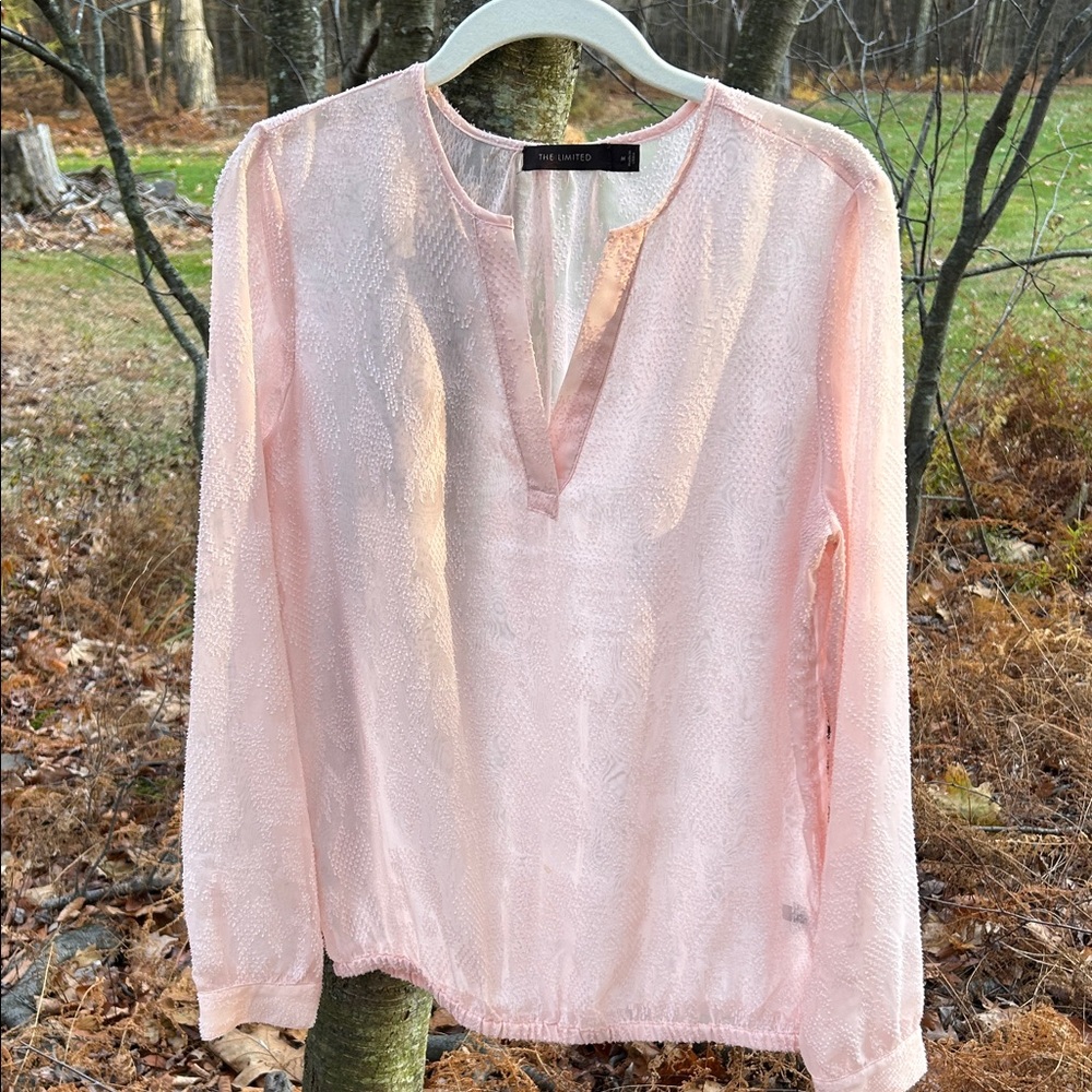 The Limited Light Pink Blouse